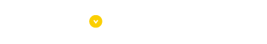 先輩社員の声